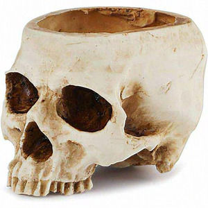 Home‎ Decor White Planter Resin Skull Shaped Flower Pot